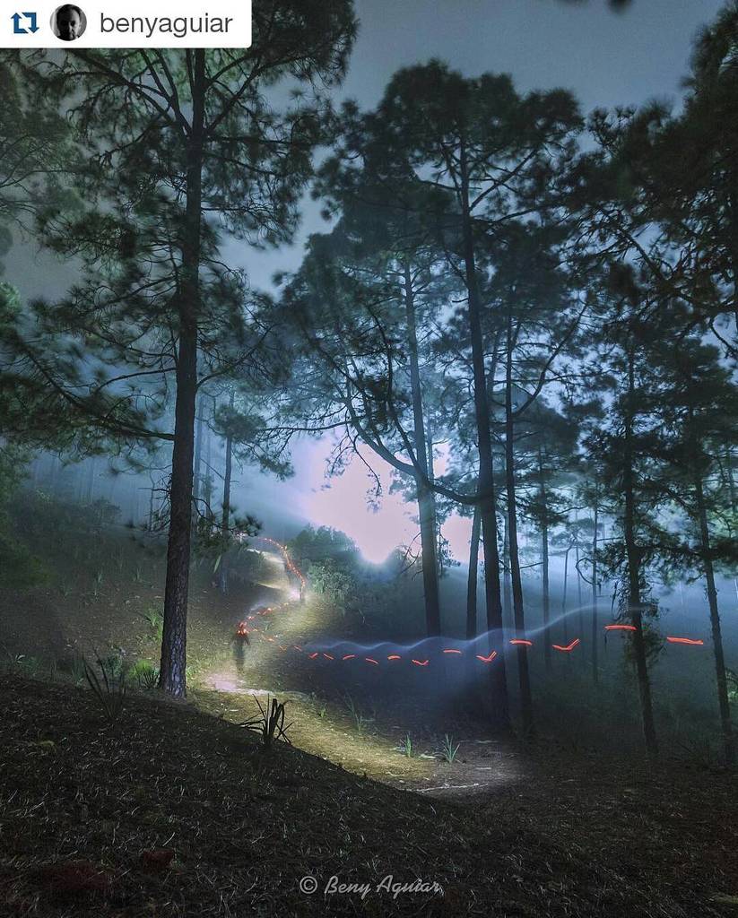 TransGC's tweet photo. Increíble, sin palabras ¿Verdad? #transgc2016 #grancanaria
Incredible, no words.
#trail … https://t.co/FGH8UIxDLI https://t.co/JrxKUSgJHu