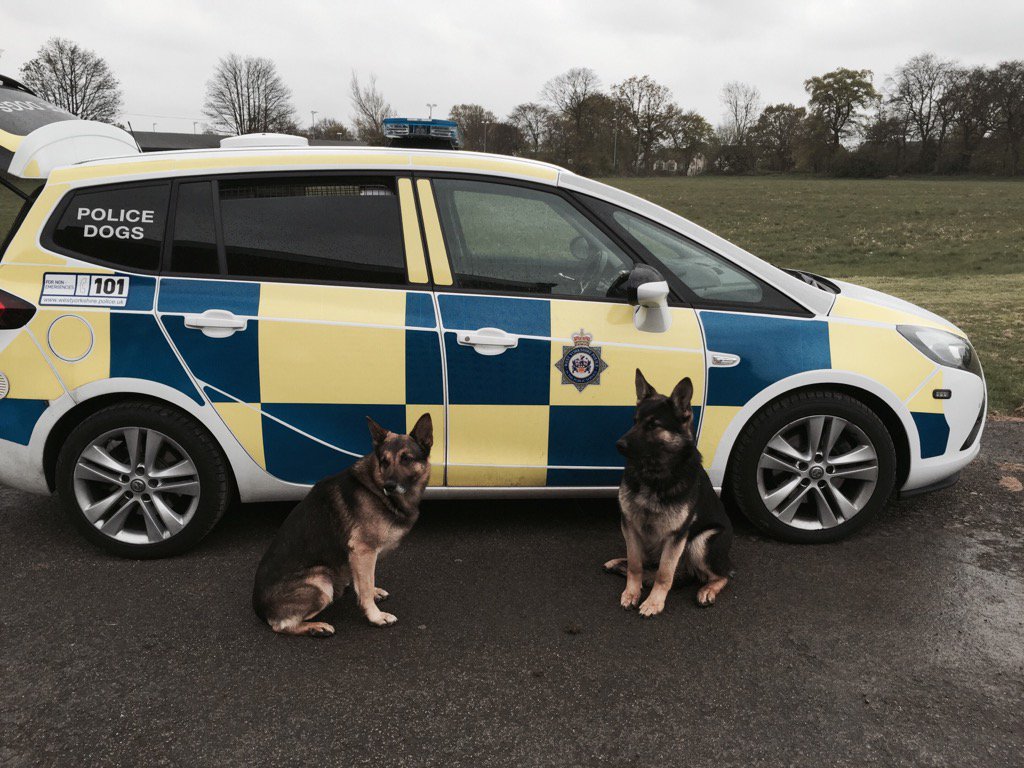 WYPDogs's tweet image. Papers signed. PD Gimley has now officially retired from WYP Dog section after a long &amp;amp; productive career#chilltime