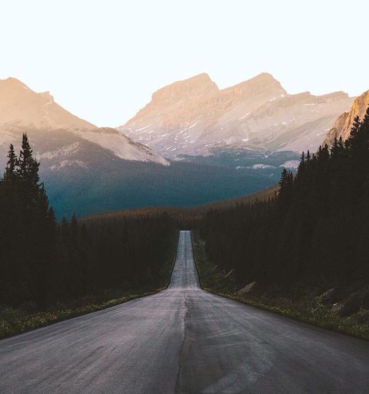 BikeNerd tweet media