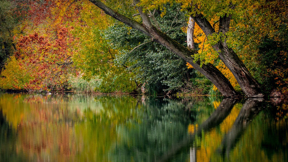 ItsNatureNerd's tweet photo. Its almost spring but I still just love those #autumn colors. #nature #naturenerd #outdoors #fall #autumncolors https://t.co/27F07mVqcI