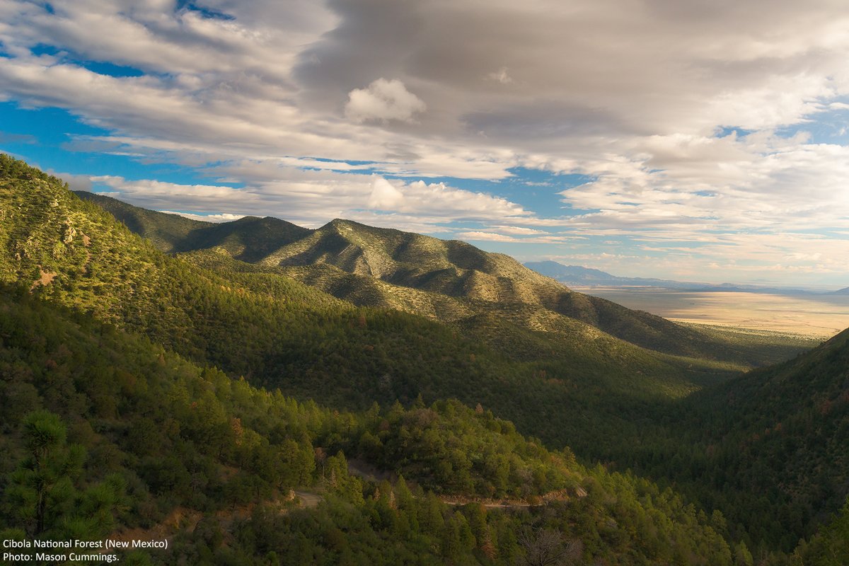 Wilderness's tweet photo. “Care of the Earth is our most ancient &amp; most worthy, &amp; after all our most pleasing responsibility" -Wendell Berry https://t.co/ubZOYYTyRd