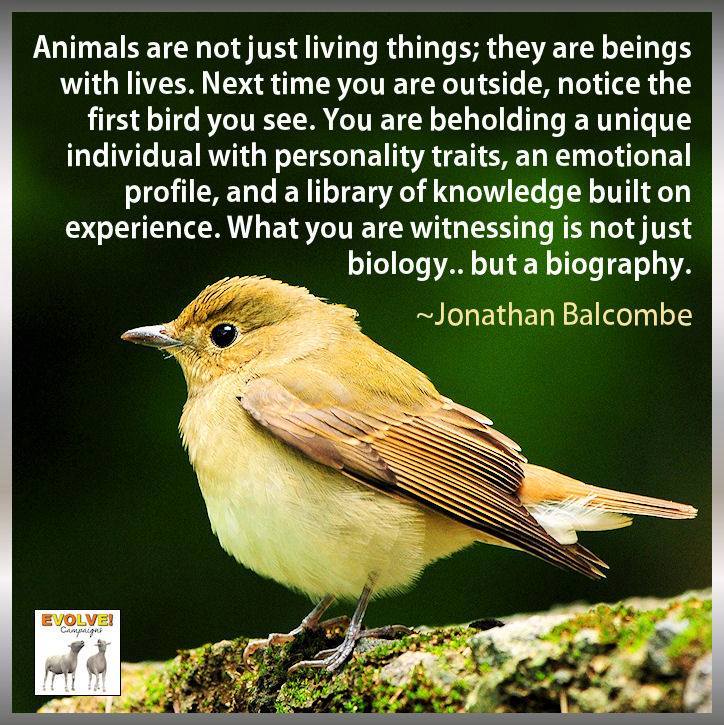 Animals1st's tweet photo. Appreciate animals, nature &amp; what's all around you ❤️ https://t.co/wxOPTNuG5J