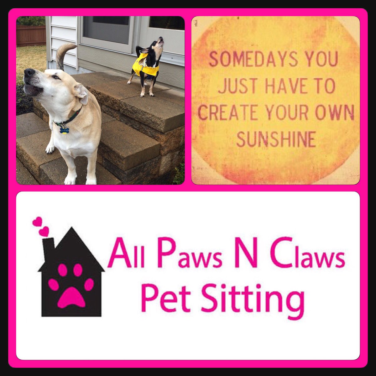 allpawsnclaws's tweet photo. https://t.co/7qlpRFu79W