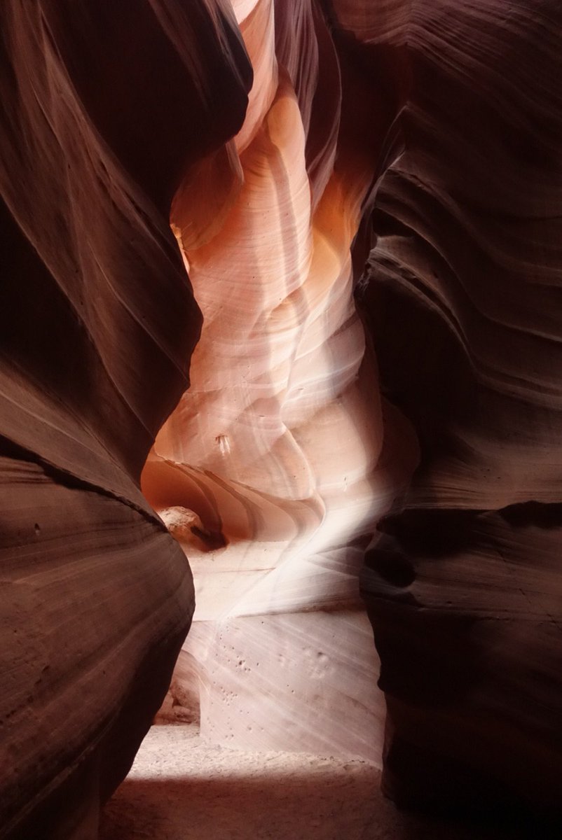 stemcellsman's tweet image. ADULT STEM CELLS grow daily. Make your own!!!