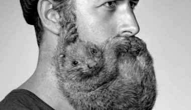 bianco_camicia's tweet image. Scopri di più sui punti di usura della #camicia sul nostro #blog biancocamicia.com/it/blog/item/3… @letsgetfisico_