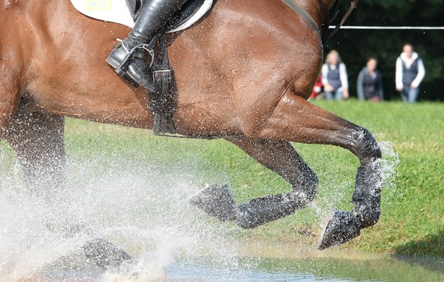 New regional league for grassroots eventers <a href="/BEventing/">British Eventing</a> <a href="/BlueChipFeed/">Blue Chip Feed</a> <a href="/WestonParkHT/">Plant A Fence Events</a> po.st/xCZGxh