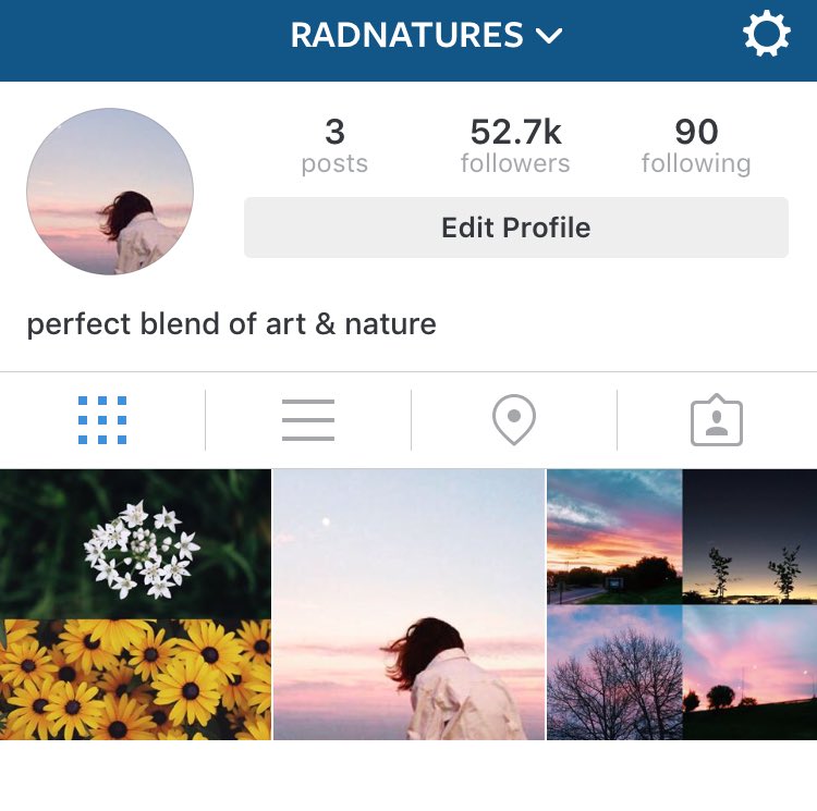 nature art tweet media