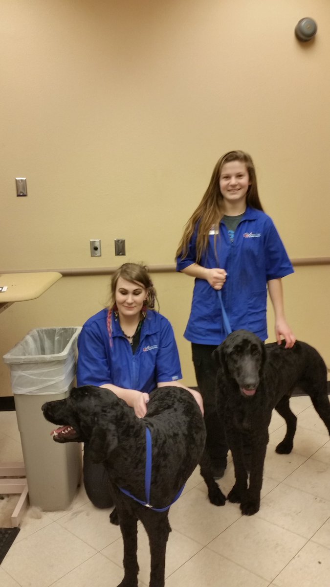 b1ebb08665cb46e's tweet photo. Academy day 8 ! Awesome work! @JulzLawrence @CBaileyPETM https://t.co/rUataSro1X