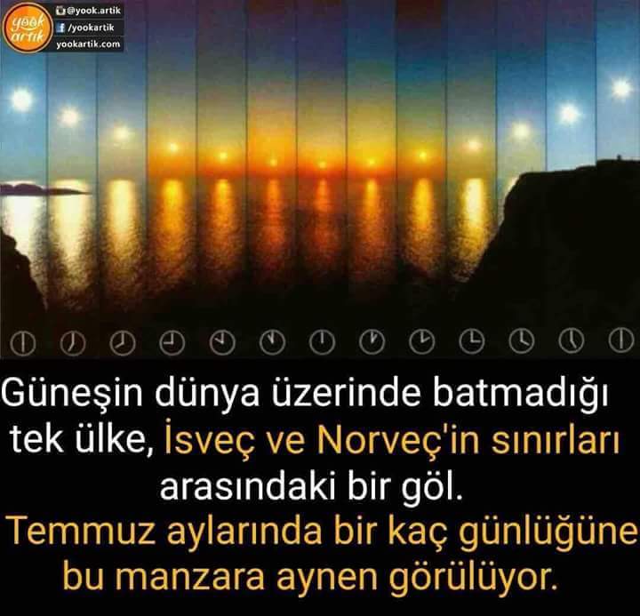 halilkoseoglu41 tweet picture