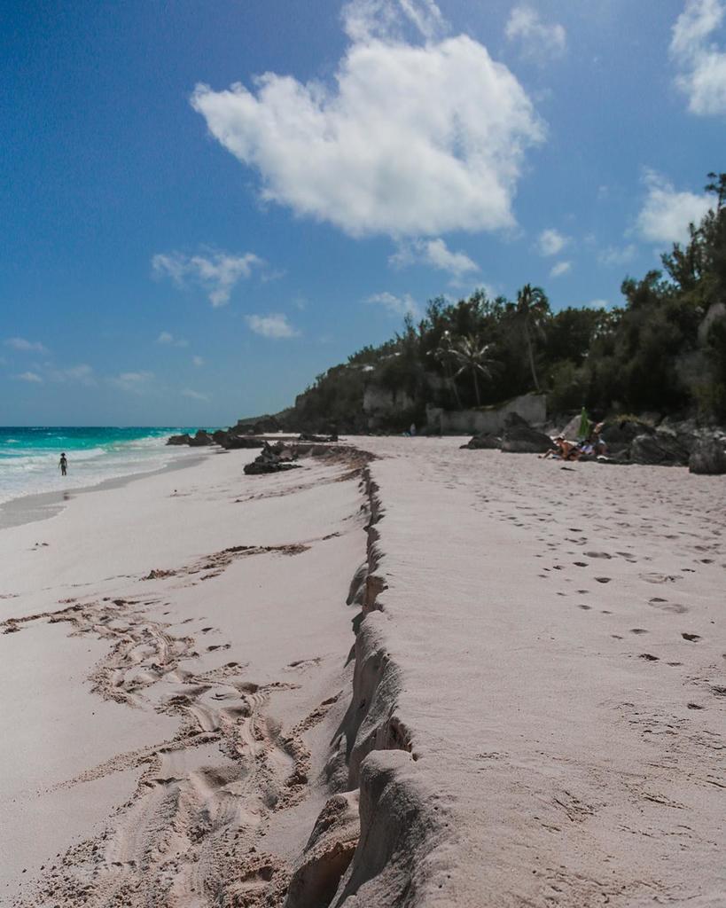 bermudarentals's tweet photo. Southlands Park, Bermuda 🌊🌴 #gotobermuda #ahhbermuda #bermuda #travel #vacation #instabeac… https://t.co/dbfO8l9hpg https://t.co/5vqZ34QdYA