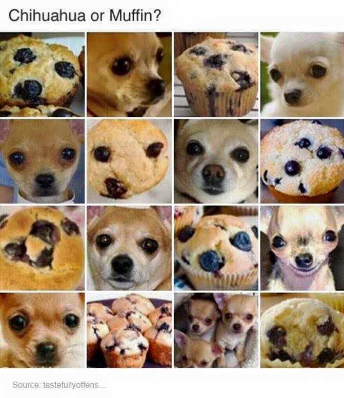 partyfavor's tweet photo. Internet, you've really outdone yourself https://t.co/7QeirKnr21
