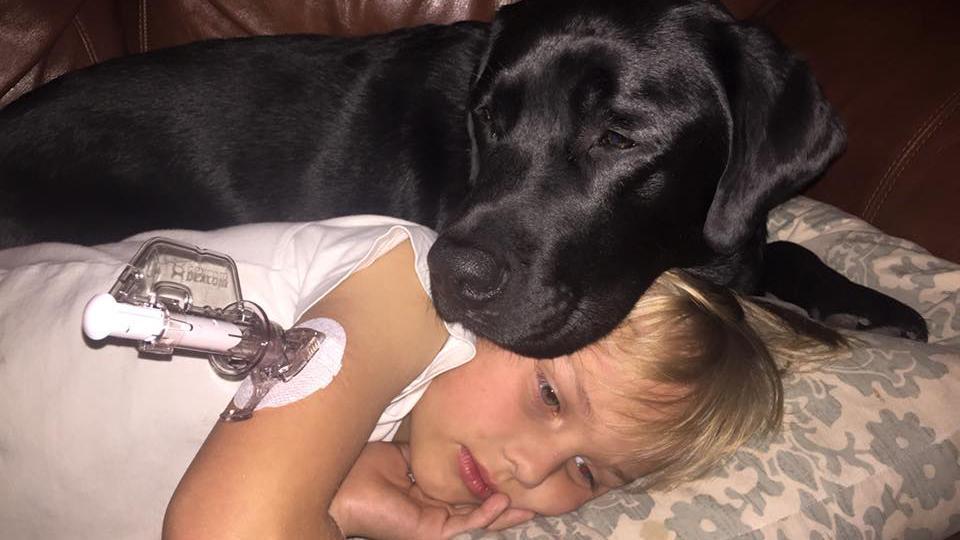 Un perro le salvó la vida a un nene de 7 años que sufre de diabetes bit.ly/1RTNUmq