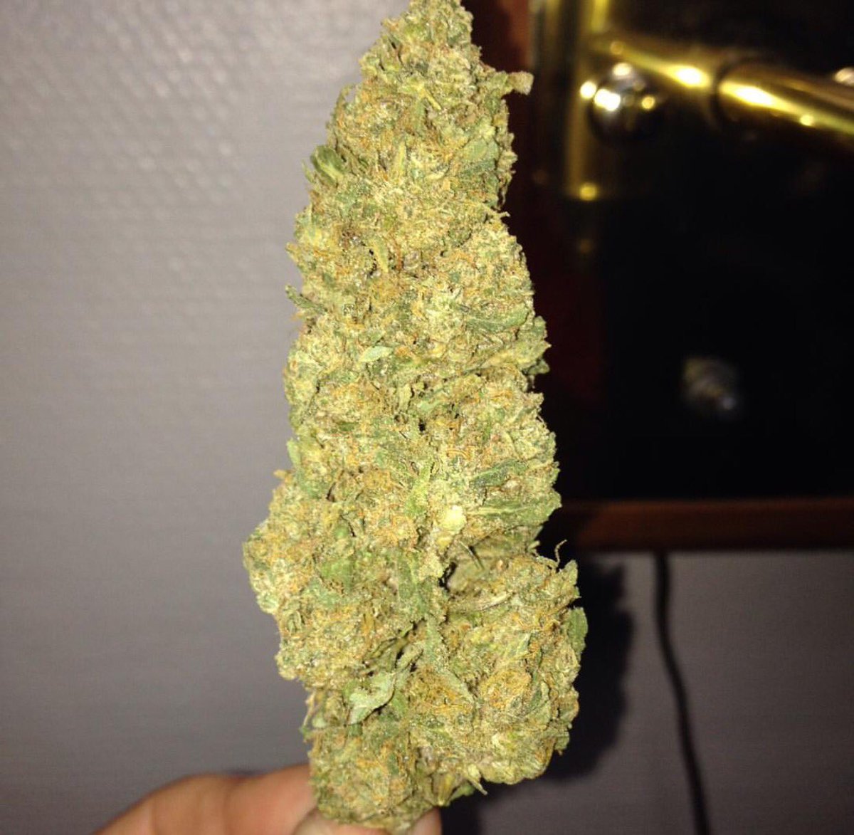 OpuffO2's tweet photo. All stocked up for this debate. Let the hilarity ensue. #GOPDebate #Weed #Cannabis #OPuff https://t.co/Sh3S3lOUCT