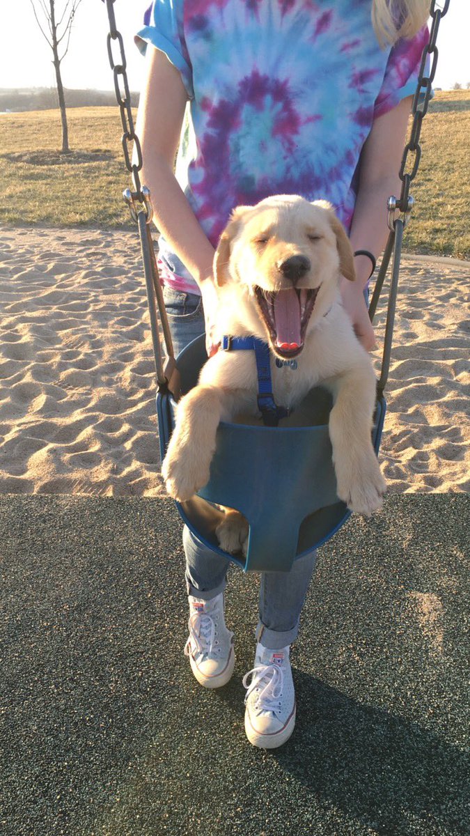 cooper_joerger's tweet photo. had a fun time at the park! 😜 https://t.co/4kMhYgUUar