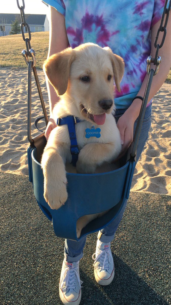 cooper_joerger's tweet photo. had a fun time at the park! 😜 https://t.co/4kMhYgUUar