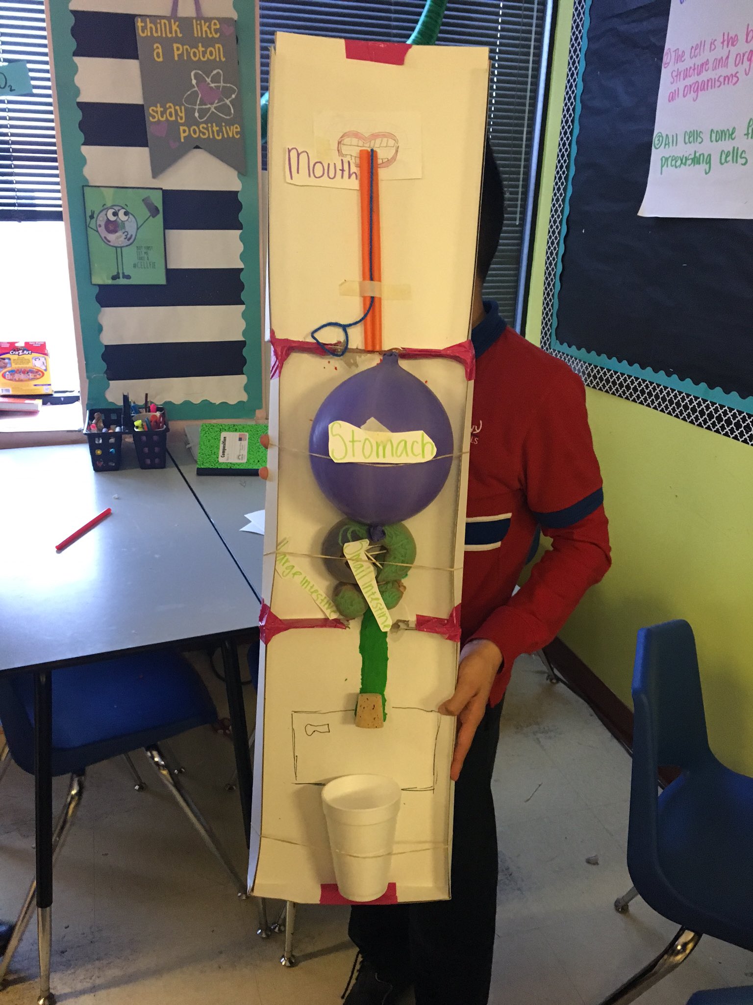 Brittany Carrone on Twitter: "Today's STEM challenge: build a Digestive