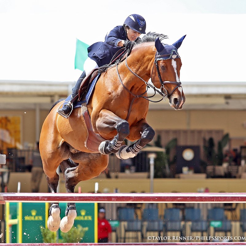 Royce was double clear and third in the CSI5* WEF Challenge during Week 9 of #WEF! #scopefordays #showjumping