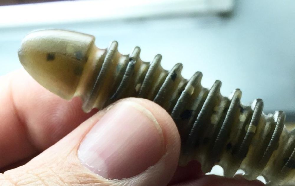 CanuckBassin's tweet photo. Damn good looking goby imitation. @Anglers_Choice #Killshots in a custom color. I call it #Marauder 👍 https://t.co/pGgzOZ0ftL