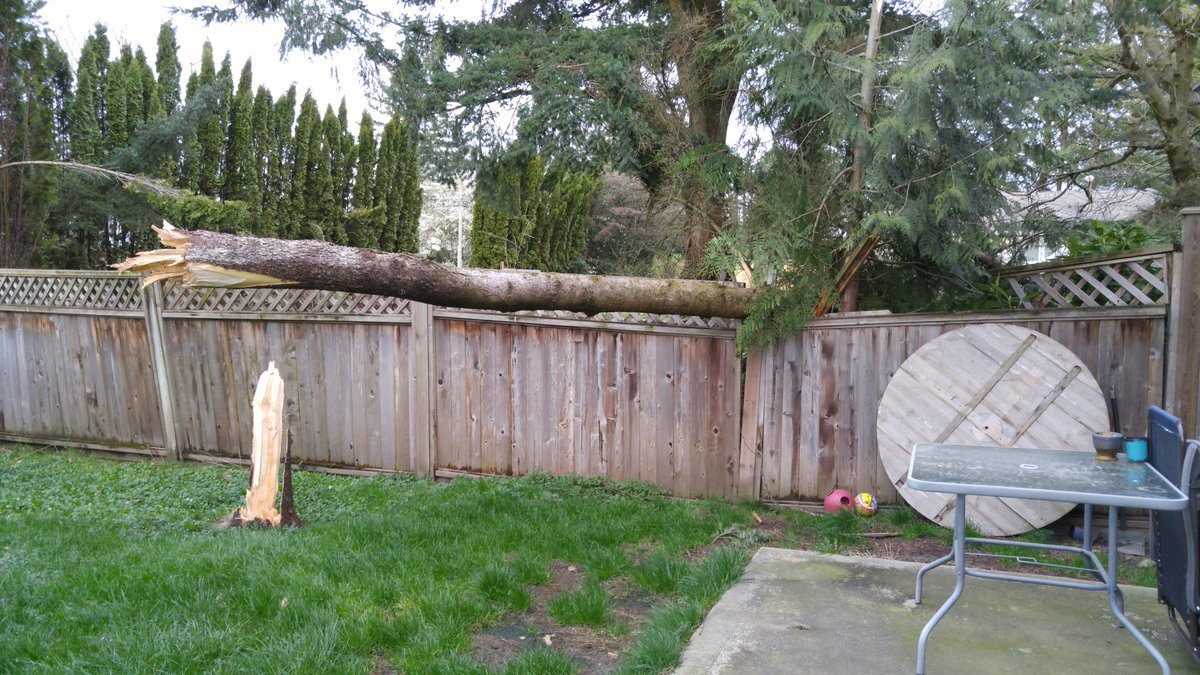 ShayShay tweet media