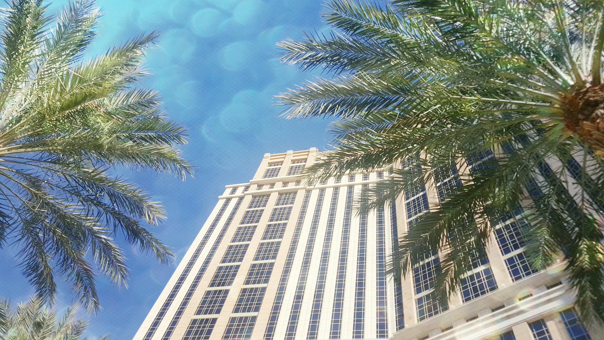 BriannaConway's tweet image. #TBT to this past Monday when I last saw the sun. #ConcurFusion #ConferenceProblems