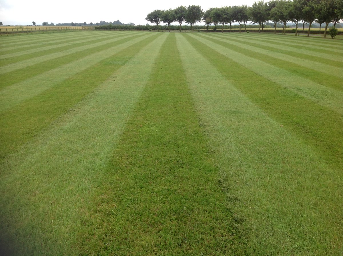 tgcltd1's tweet photo. Who knew a Ransomes HR300 with Wessex Flail would have a presentation like this? @RansomesTurf #perfectstripes https://t.co/3kIyMWMSnG