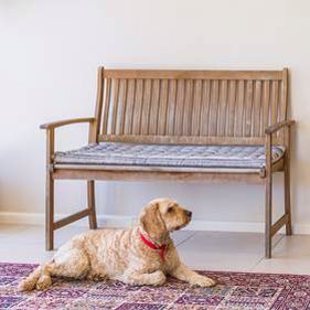 When are you coming home…see 37 Russell St Hackett. Visit luton.com.au
 #secretlifeofpets #puppylove
