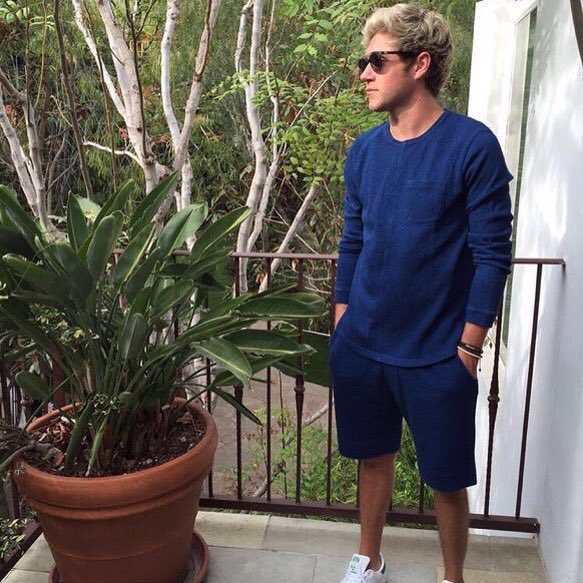 narryreport's tweet photo. Niall posted this on instagram! -Sage https://t.co/7Kmolxa5Ey