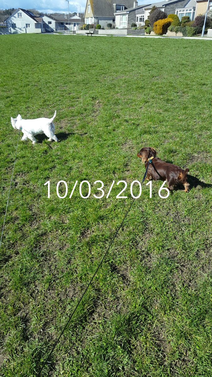 Walking my babies today 😍😍😍😍