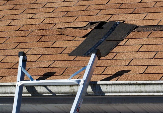 GAFTimberlineShingle tweet media