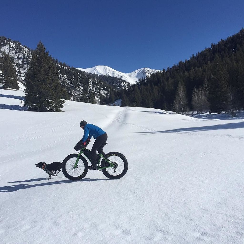 TuttoMTB's tweet photo. rebeccarusch / Yesterday's therapy ride w @svgreg & #dailydiesel....a family favorite. #fatbike #idaho #snow #cycl⦠https://t.co/kT66sb5KJz