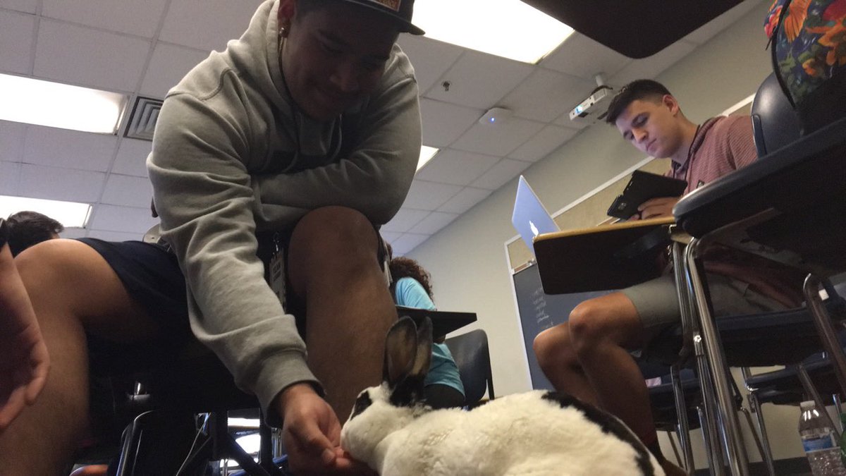 createathonVCU's tweet photo. #CreateAthonVCU meets Blinkey the Bunny! #VCU #up2create #CreateAthon https://t.co/CQvvCbX97V