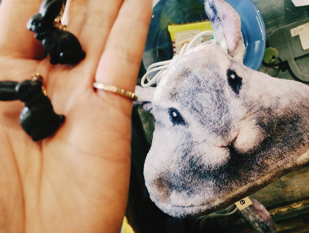 うさうさき♥3点おまとめ♥⁠◍⁠•⁠ᴗ⁠•⁠◍⁠)⁠❤ うさぎちゃん＆ちびうさお誕生日おめでとう🎂🌙💕 今日はW