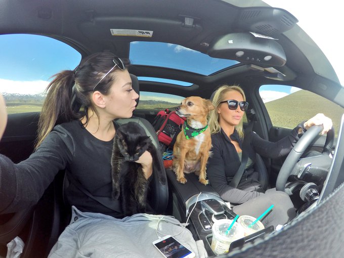 #bff #travel #adventures #furbabies #ontheroad #roadtrip #gopro #babes #sotired #andsore #loveher https://t<a href="/tag/bff"class="tags">#bff</a><a href="/tag/travel"class="tags">#travel</a><a href="/tag/adventures"class="tags">#adventures</a><a href="/tag/furbabies"class="tags">#furbabies</a><a href="/tag/ontheroad"class="tags">#ontheroad</a><a href="/tag/loveher"class="tags"><span>#loveher</span></a><a href="/tag/babes"class="tags"><span>#babes</span></a><a href="/tag/gopro"class="tags"><span>#gopro</span></a><a href="/tag/roadtrip"class="tags"><span>#roadtrip</span></a><a href="/tag/sotired"class="tags"><span>#sotired</span></a><a href="/tag/an"class="tags"><span>#an</span></a>