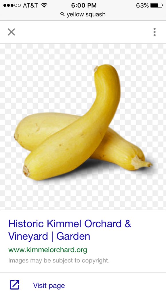 I JUST ATE TWO YELLOW SQUASH I AM OUT OF CONTROL