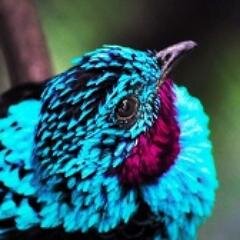 الحربيه** (@meertdfjh247) on Twitter photo 
