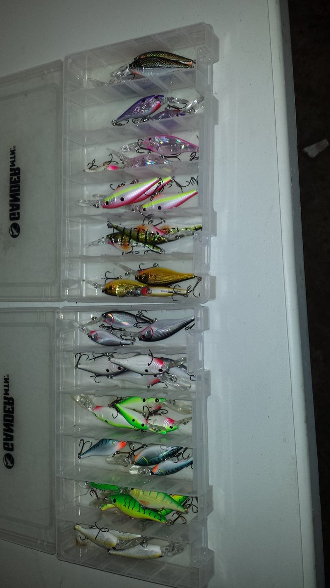 fgwestland8's tweet photo. Always room for a few more Flicker shads! https://t.co/2IAl0QVnUK