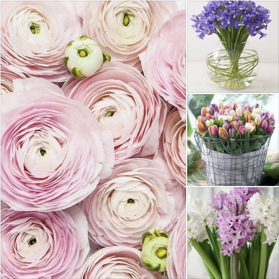 Park Ex Flower Shop (ParkExFlowers) Twitter