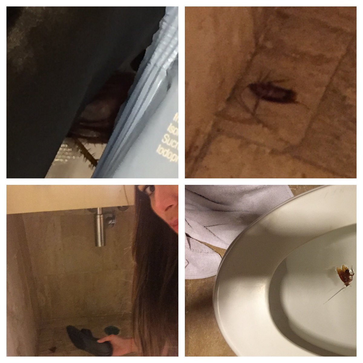 CYNTHIAOLAV's tweet photo. Así como cdo llevas horas intentando dormir y de repente te encuentras una cucaracha en tu baño... así. 👸🏻🔫 #trauma https://t.co/pctEnB6z0H
