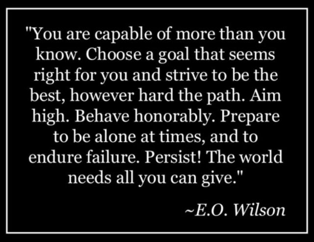 emma stacey (@emma_stacey1) on Twitter photo 