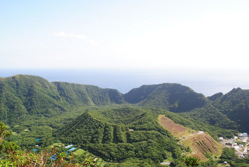 Aogashima_Vill's tweet photo. 40年以上前、物資の調達が難しかった青ヶ島では、各家庭で椿油を搾っていました。1985年頃、再び椿産業を起こそうと、村の事業として丸山に椿が植林されていきました。植林の結果、それは縞模様の不思議な風景を作り青ヶ島の象徴となりました。 https://t.co/xmAgRivhGj