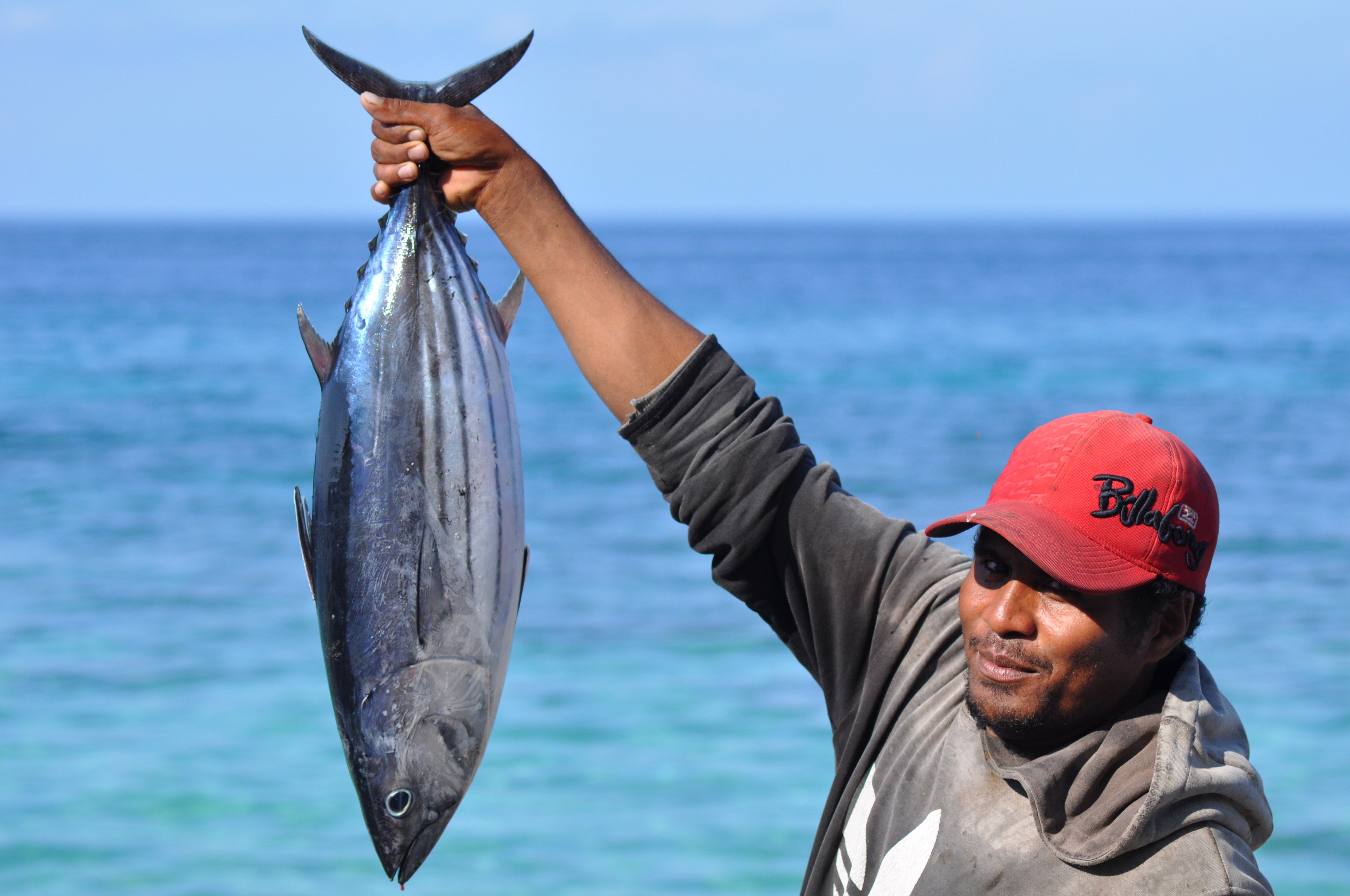 Тунец Skipjack Tuna