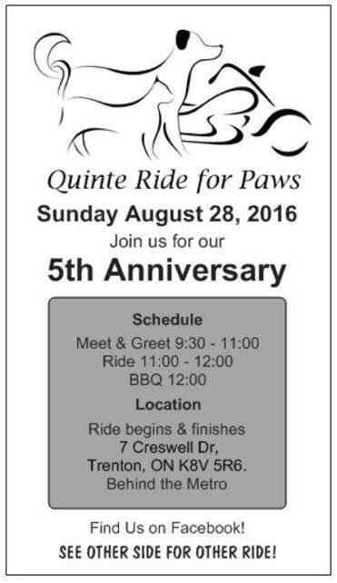 QuinteR4Paws's tweet photo. https://t.co/RfEVEjOurp