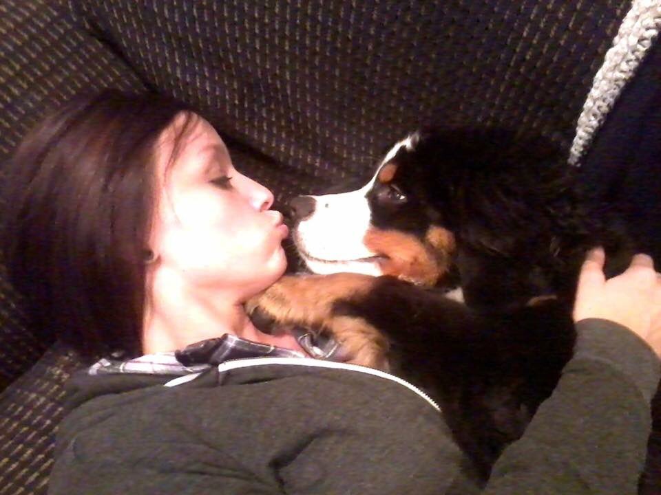 gregthesuit's tweet photo. #powertrippuppy @Chris_Hawkey @PowerTripKFAN Bernese mountain dog as a little guy... https://t.co/7u4BBfIj7K