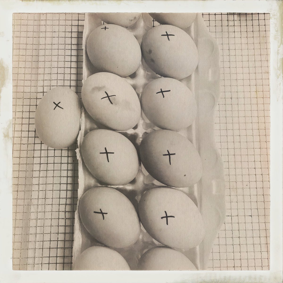 teach_element's tweet photo. 2nd grade chicks @KraftES1! @HamptonCSchools #scienceisgreat #scienceeducation #teach_element #hamptoncityschools https://t.co/lE0Cn1wrEq