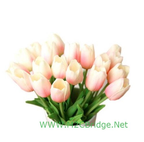 M2CBridge's tweet image. ebay.com/itm/New-Reusab…

New Reusable AS Plastic Drinking Straws w/ Nylon Cleaner Brush For Wedding Party