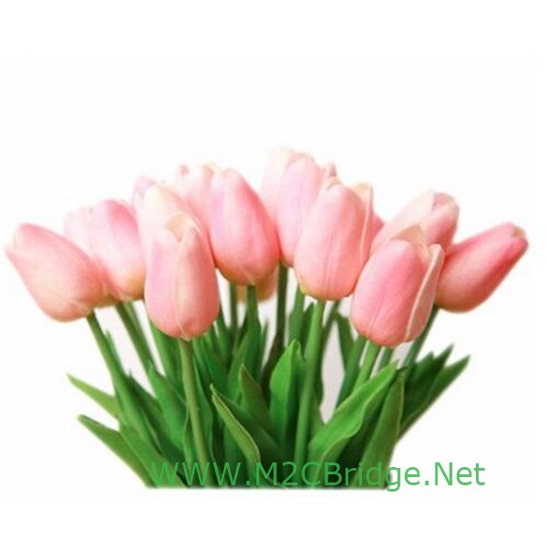 M2CBridge's tweet image. ebay.com/itm/New-Reusab…

New Reusable AS Plastic Drinking Straws w/ Nylon Cleaner Brush For Wedding Party