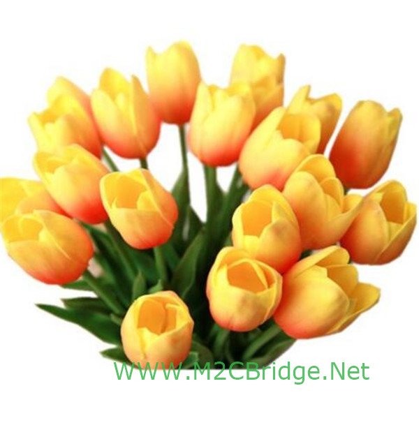 M2CBridge's tweet image. ebay.com/itm/New-Reusab…

New Reusable AS Plastic Drinking Straws w/ Nylon Cleaner Brush For Wedding Party