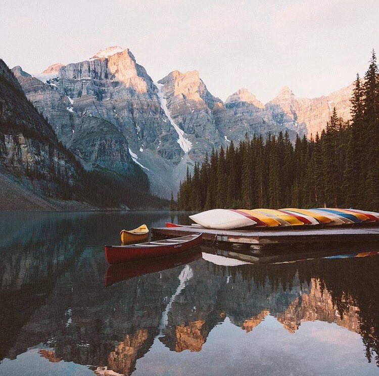 Y_Photographers's tweet photo. "blessed are the curious, for they shall have adventures"

See more work by Matt Cherubino https://t.co/DudLcwp1IQ https://t.co/yQrGymjEWK