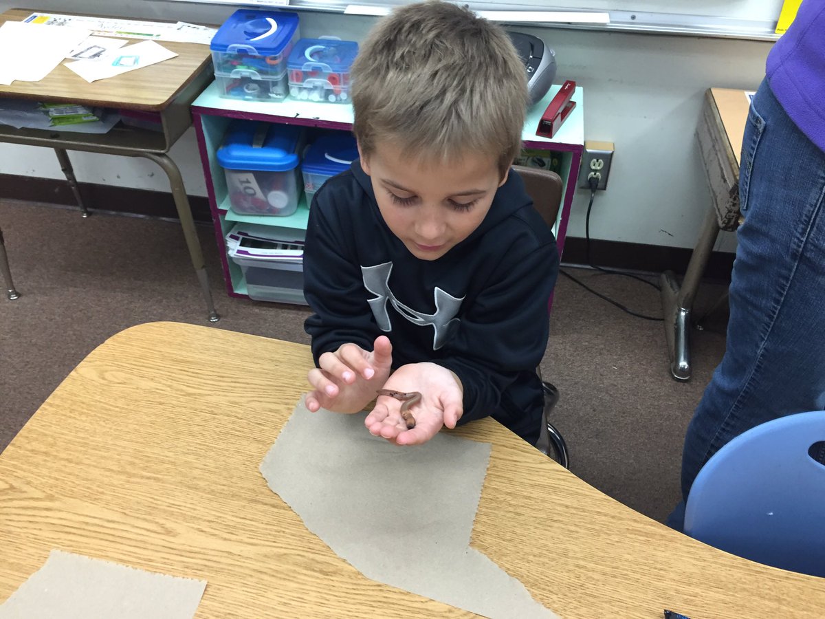 mrs_terrigraham's tweet photo. Living vs non-living. Comparing live worms and gummy worms. #Murdock Elementary https://t.co/xYIC6zLOAC