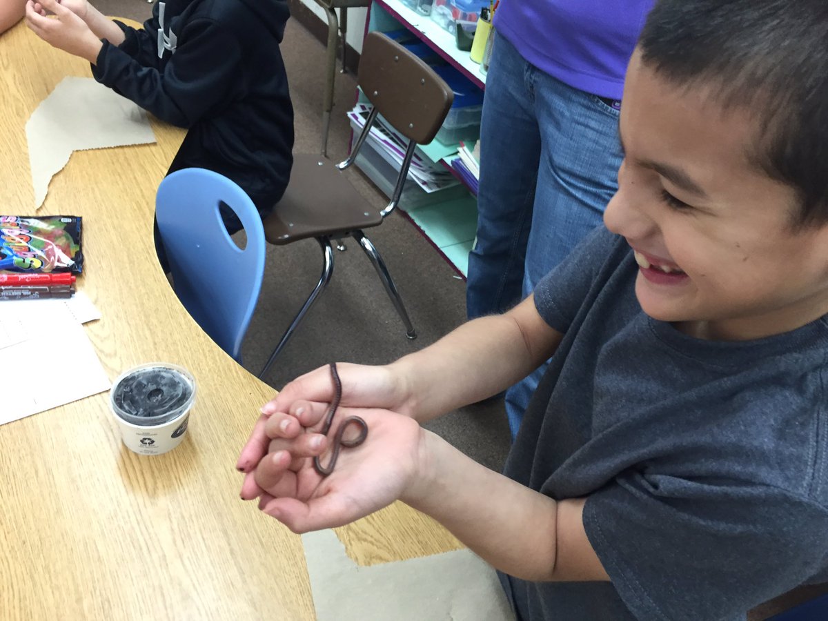 mrs_terrigraham's tweet photo. Living vs non-living. Comparing live worms and gummy worms. #Murdock Elementary https://t.co/xYIC6zLOAC